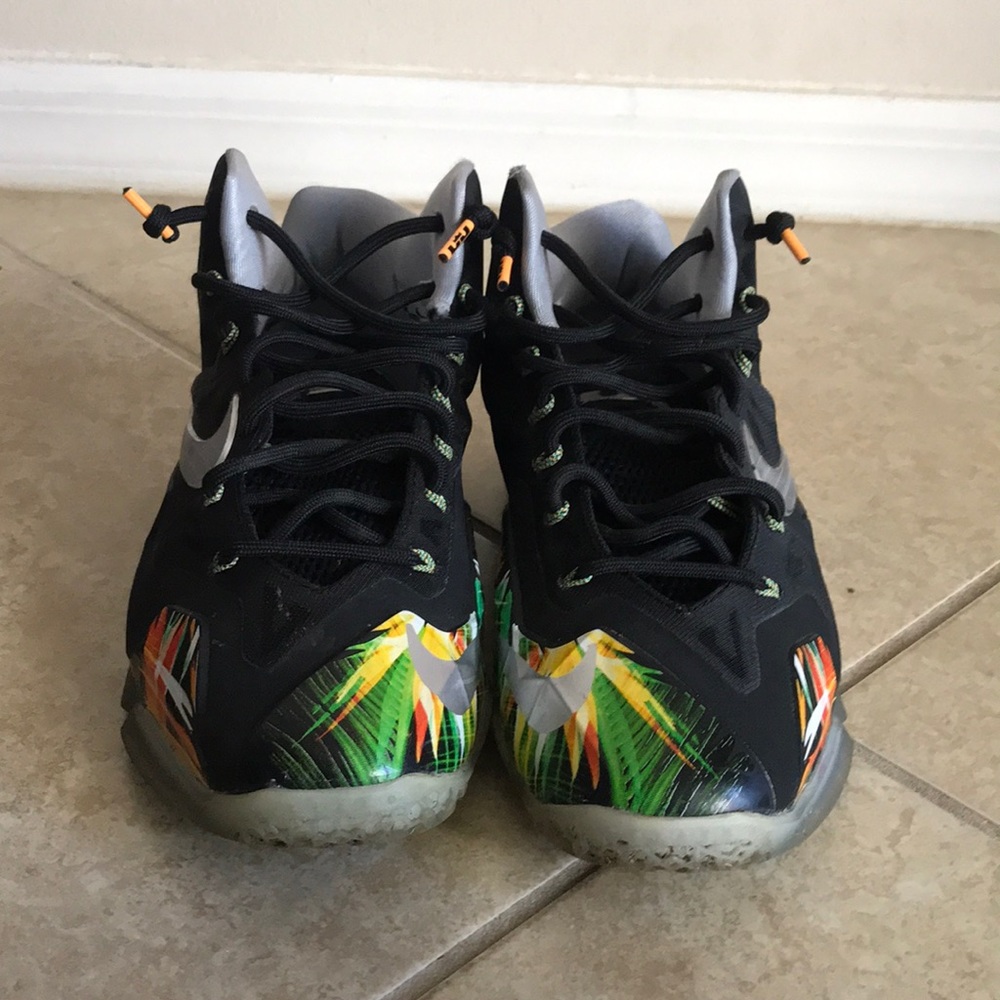 Lebron 11 “Everglades”